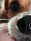 kyla.doddsss Altpins Profile Picture
