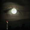 ayash.hila Altpins Profile Picture