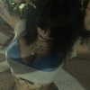 zommmbri Altpins Profile Picture