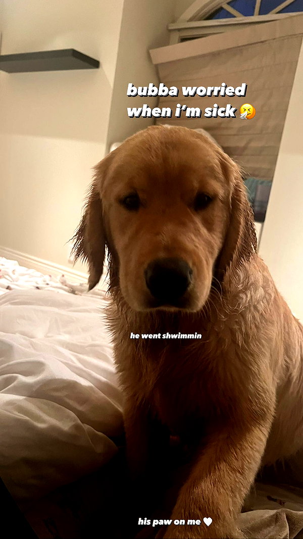 allie_dunn instagram image archive image