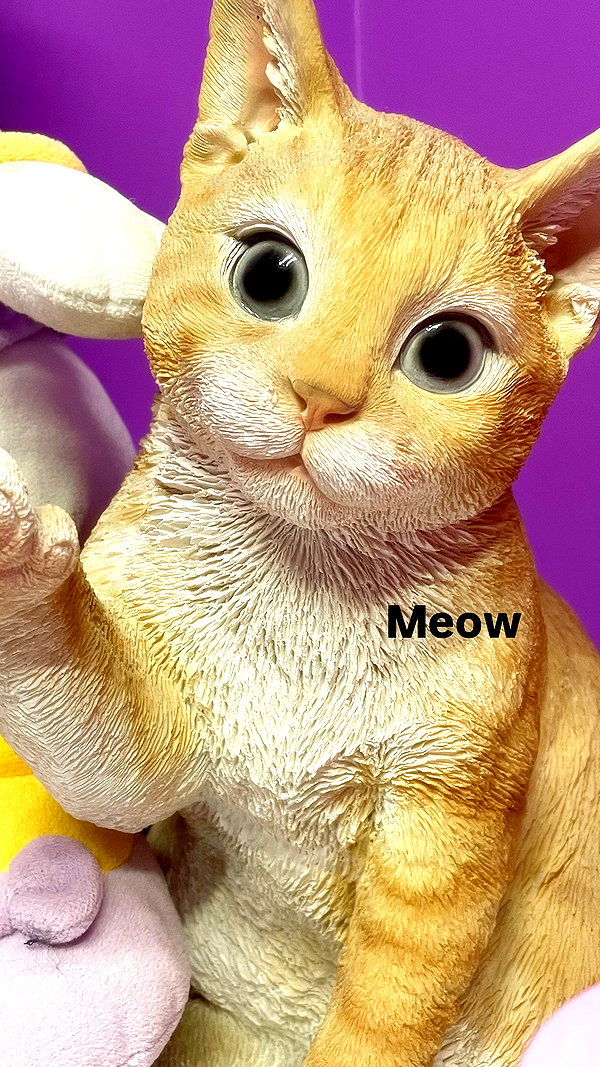 niram1y instagram image archive image