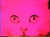 prettys1ckkkk Altpins Profile Picture
