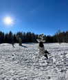 indra0102_ Altpins Profile Picture