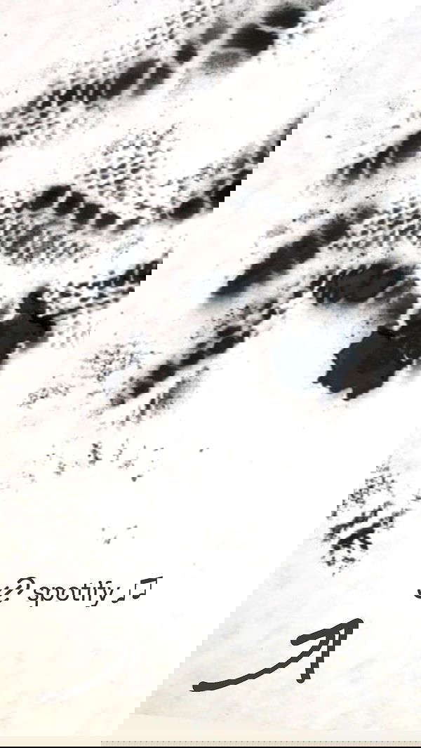 veiyul veiyul archive image