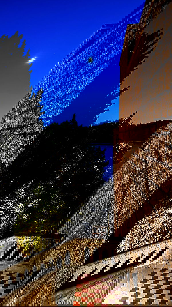 taylor.creeden taylor.creeden archive image