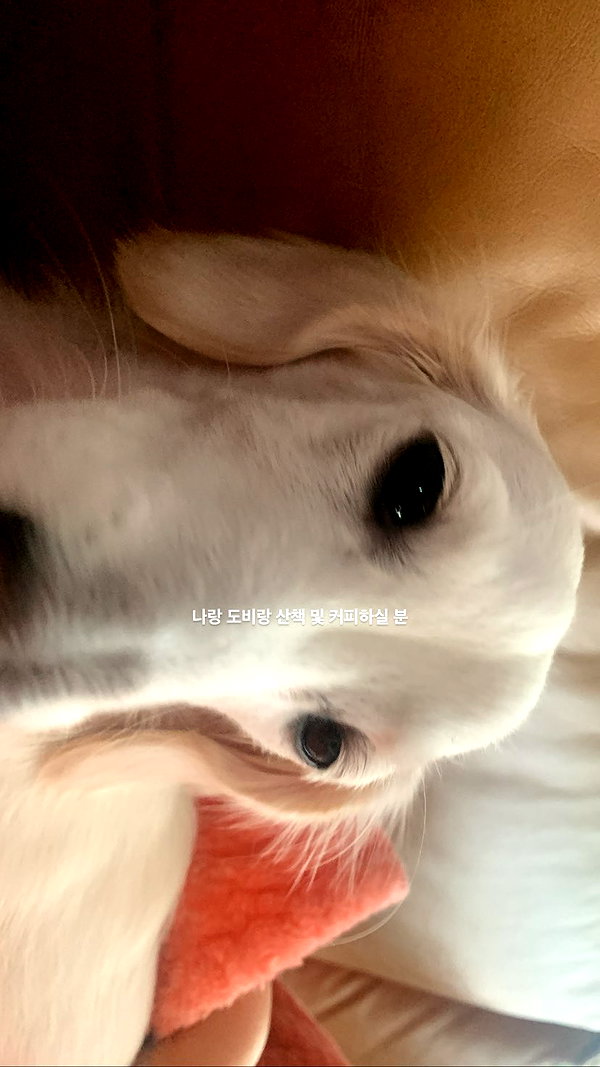 Archived image from @heroineseen on Instagram