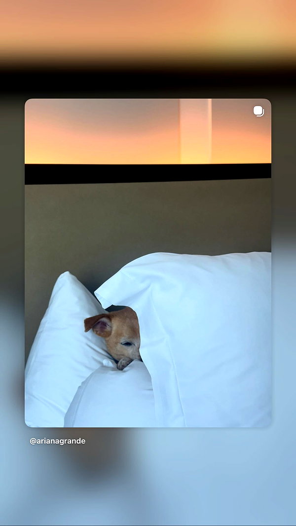 arianagrande instagram image archive image