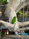 lindsaylohan Altpins Profile Picture