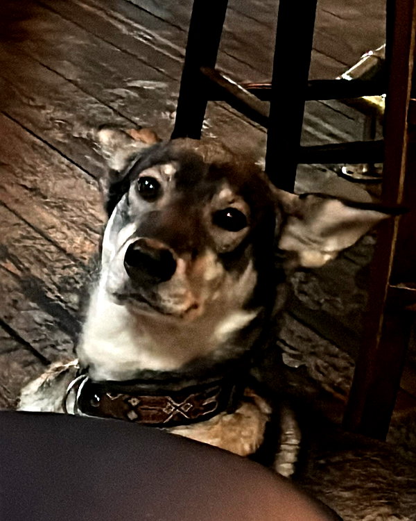 charley.chambers instagram image archive image