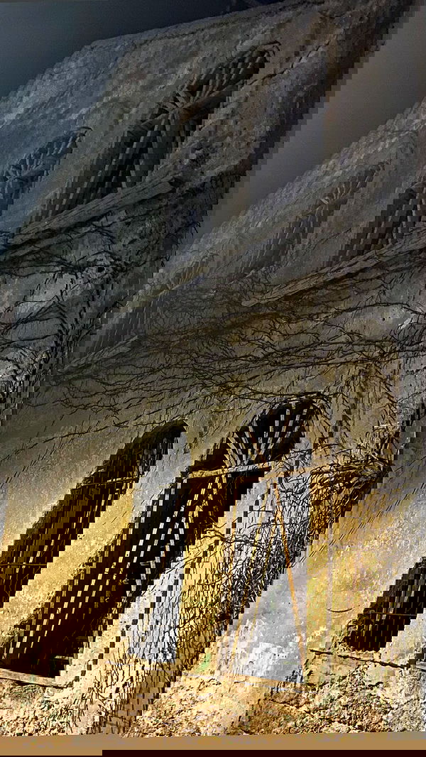 rose_xanne rose_xanne archive image