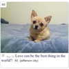 alicejaderockwell Altpins Profile Picture