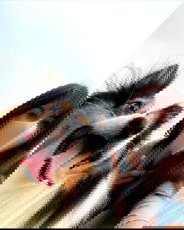 hanna_ky hanna_ky archive image