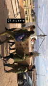 maori_cohen Altpins Profile Picture