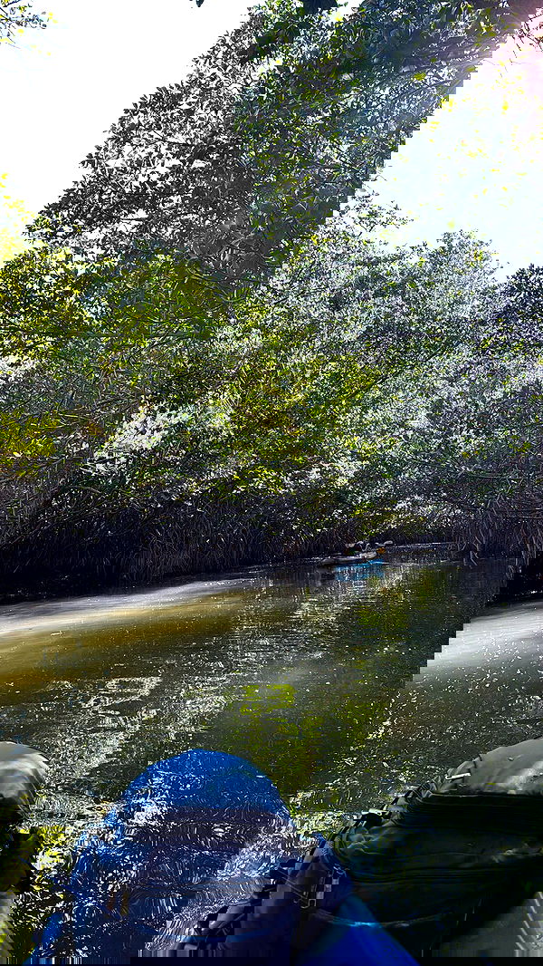 biton__adi biton__adi archive image