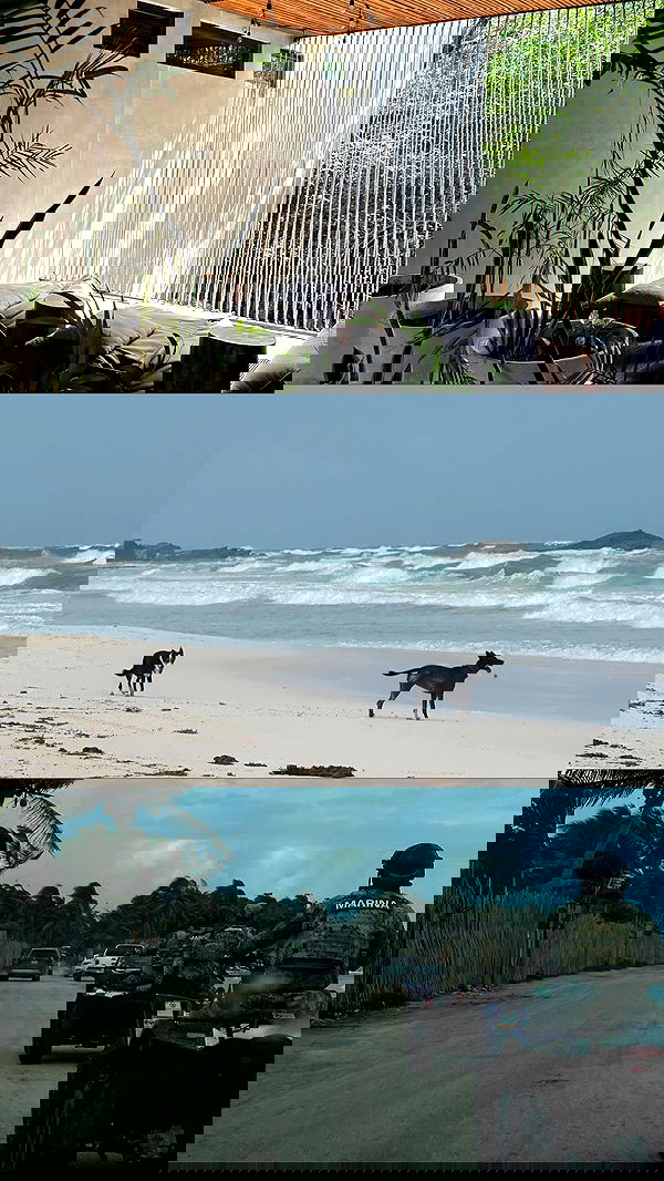 manjolamuriqi manjolamuriqi archive image