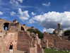 urplpur Altpins Profile Picture