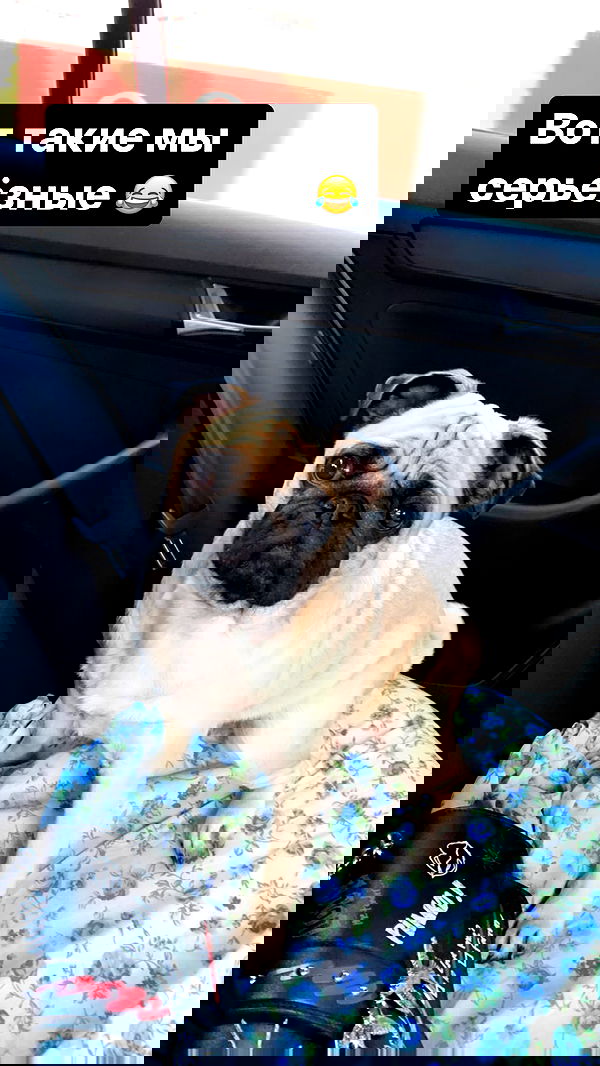 nyityam nyityam archive image