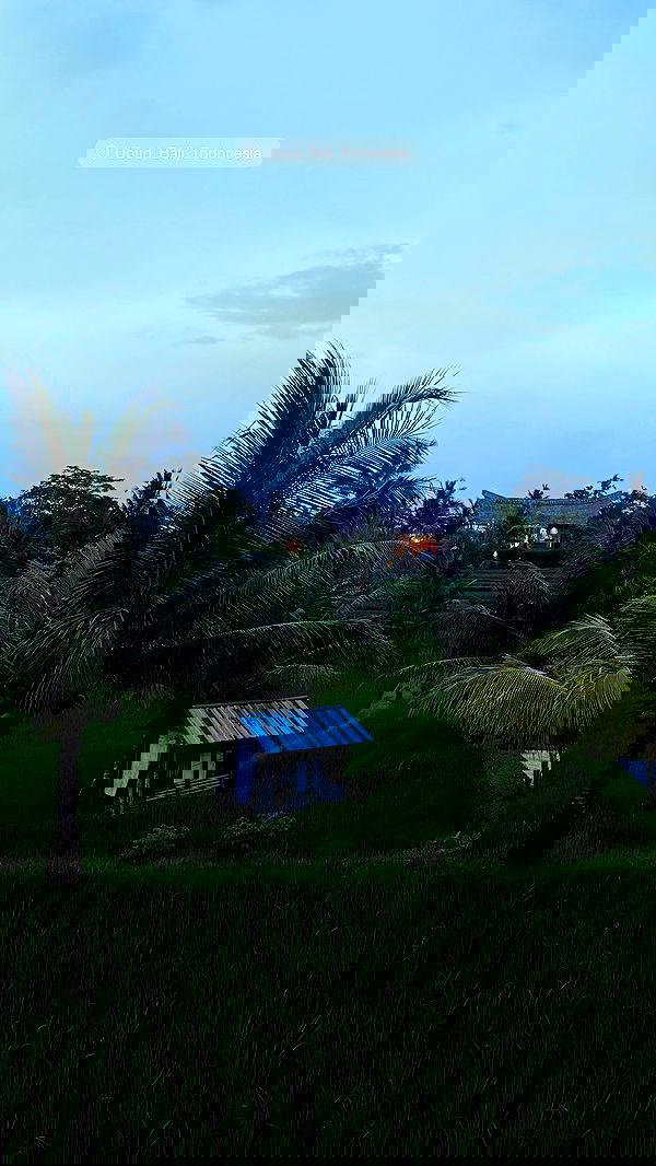 taylor.creeden taylor.creeden archive image