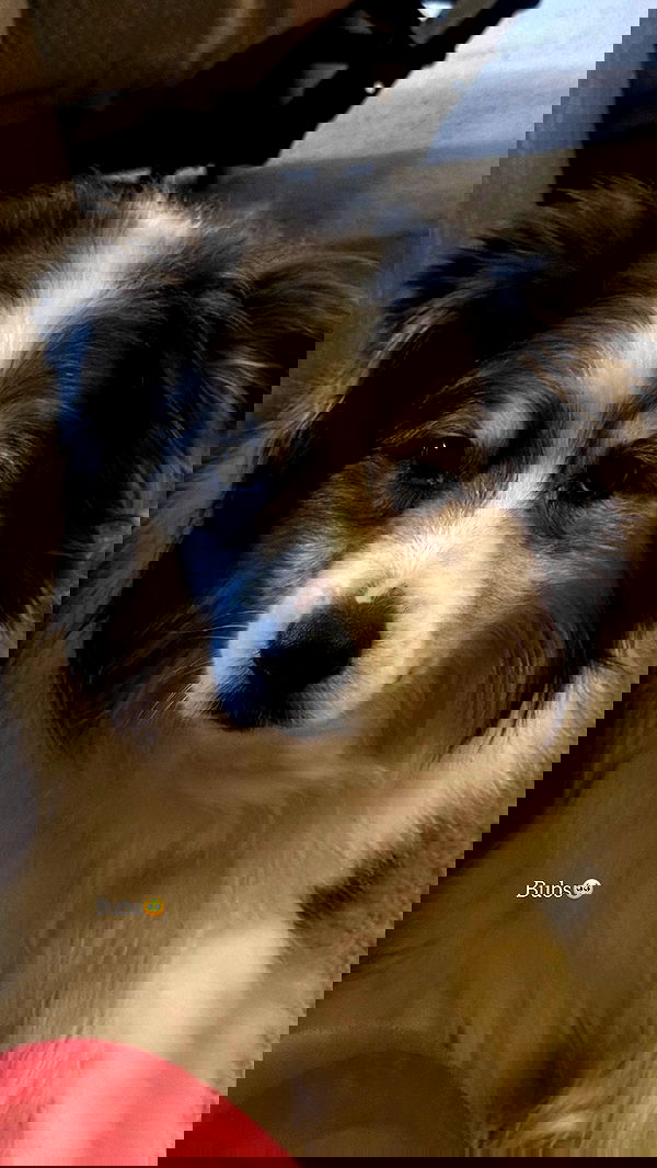 taylor.creeden taylor.creeden archive image