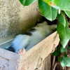 michalcohen___ Altpins Profile Picture