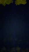 sophia.zadvor Altpins Profile Picture