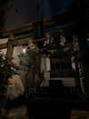 vollkova__ Altpins Profile Picture