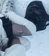 amanitalis Altpins Profile Picture