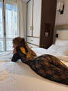 carolinezalog Altpins Profile Picture