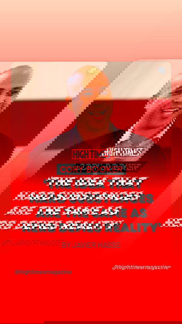 bakedsloths bakedsloths archive image