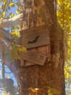 tatumchurch Altpins Profile Picture