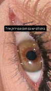 laluzone Altpins Profile Picture