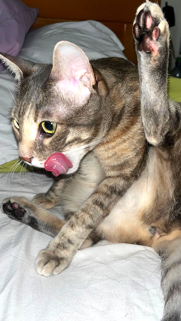 Archived image from @notchicore on Instagram