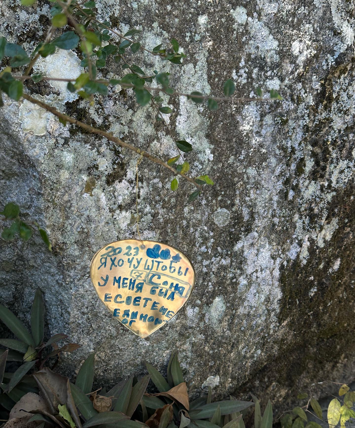 kkulakovaa instagram image archive image