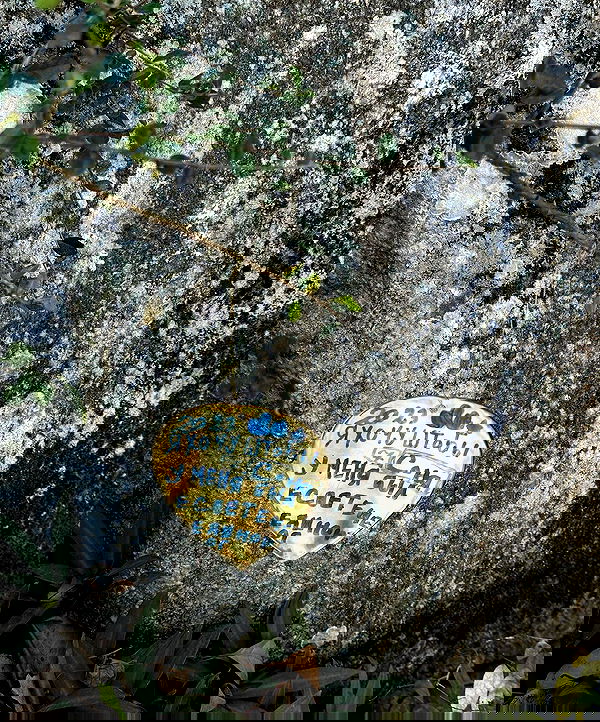 kkulakovaa image ~ Altpins