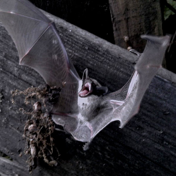 apathy.impress instagram image archive image