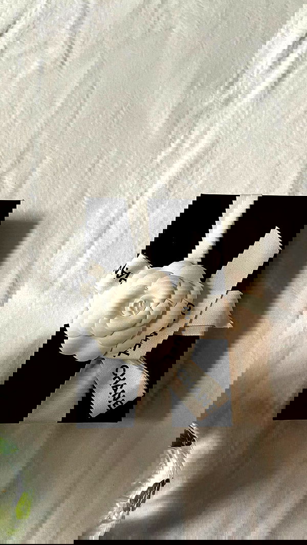 peacake6 peacake6 archive image