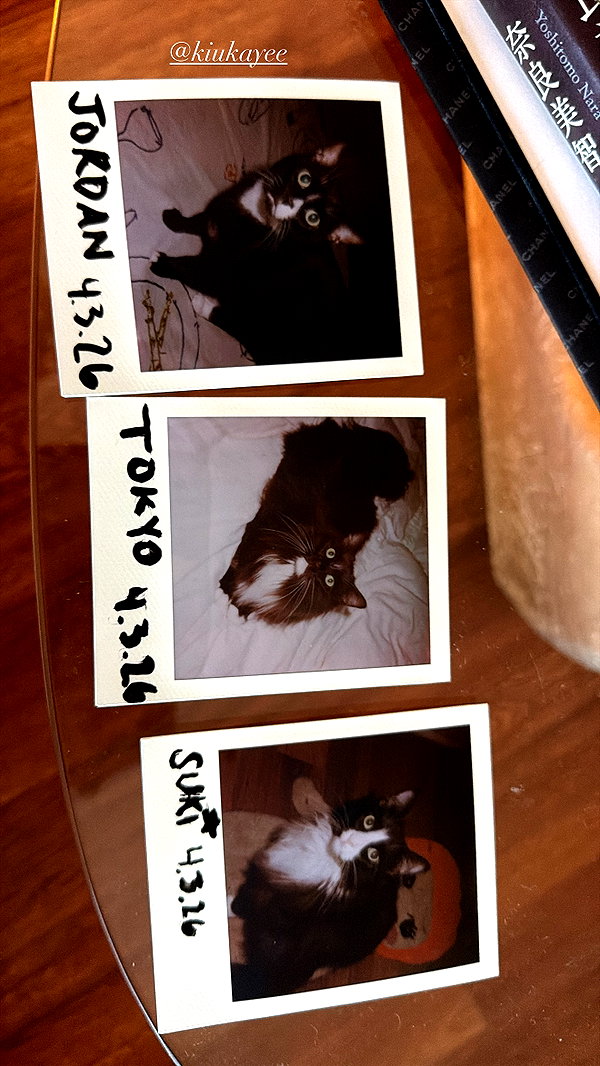 sydney_melman instagram image archive image