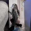 metallic_smack Altpins Profile Picture