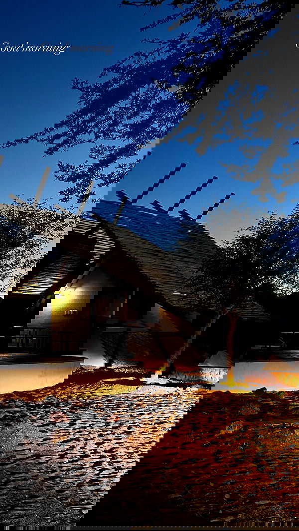 taylor.creeden taylor.creeden archive image