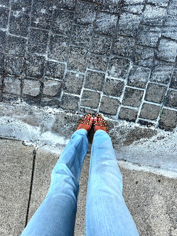 brontesheppeard instagram image archive image