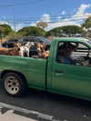 rouxroux.tv Altpins Profile Picture