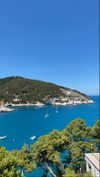 federica.piccinni Altpins Profile Picture