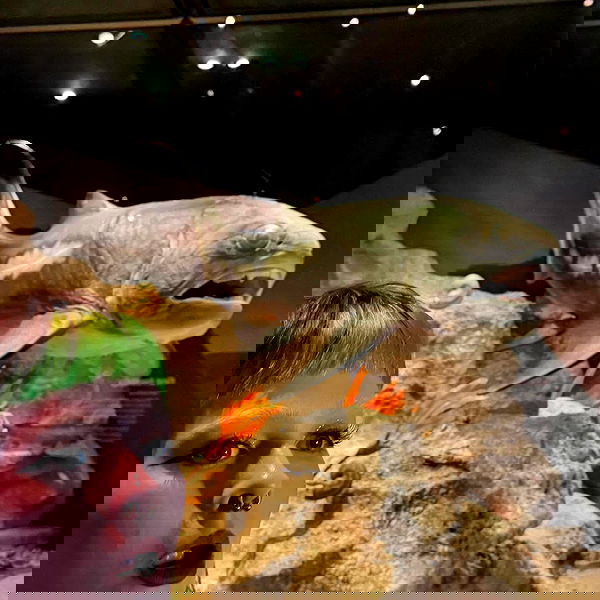 jtilb2 image ~ Altpins