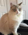 catl0verr69 Altpins Profile Picture