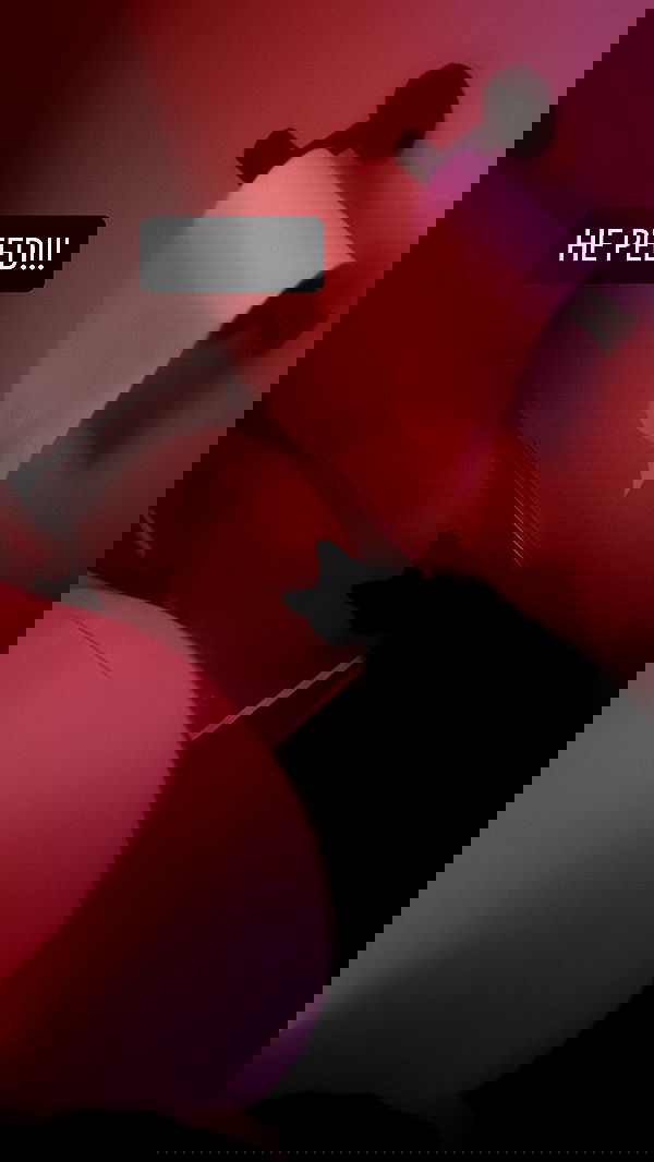 6nattynat9 6nattynat9 archive image