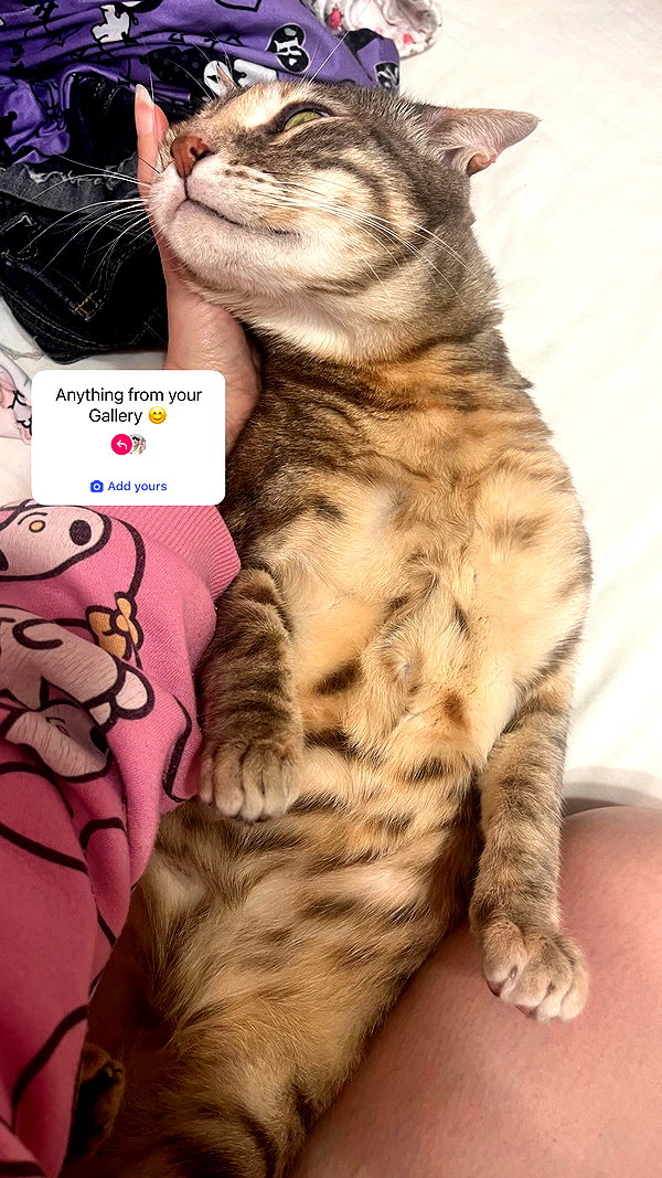 Archived image from @notchicore on Instagram