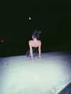 noast4rzz Altpins Profile Picture