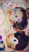 lilarosepalaza Altpins Profile Picture