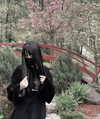 menorixqq Altpins Profile Picture