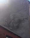 tatumchurch Altpins Profile Picture